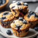 Healthy Greek Yogurt Blueberry Protein Muffins